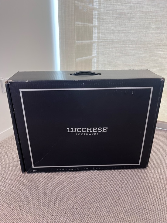 Lucchese Shoes - LUCCHESE Brand new never worn White boots